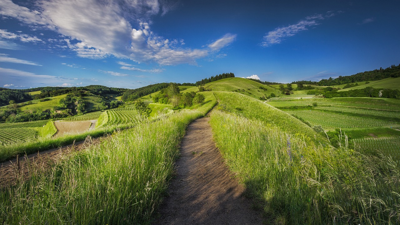 Smart Farming: The Key to Balancing Biodiversity and Agriculture